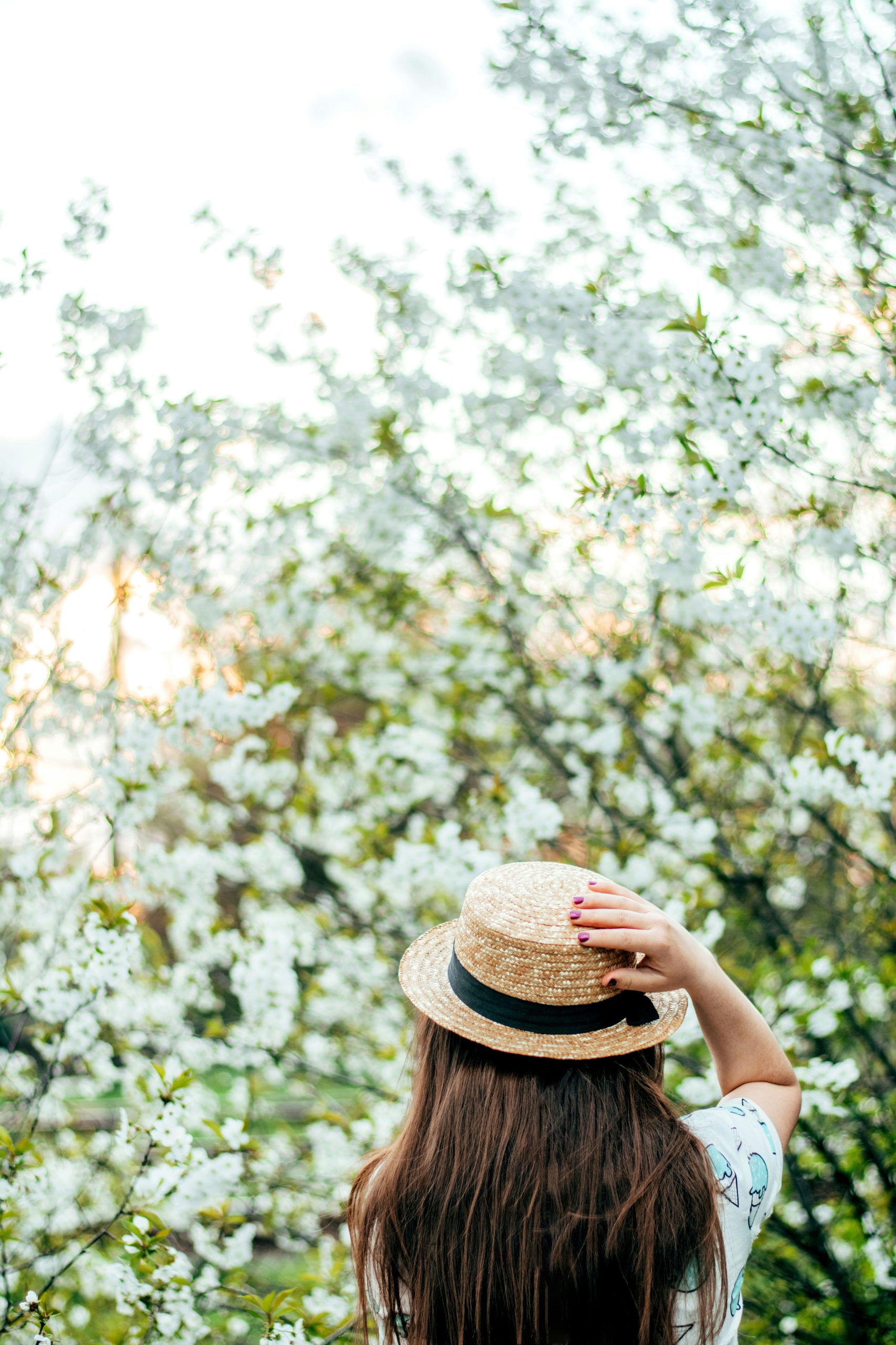 A women wearing a straw hat looking at trees.